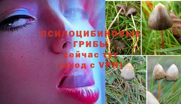 меф Армянск