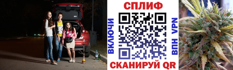 магазин  наркотиков  Елабуга  Марихуана сатива 